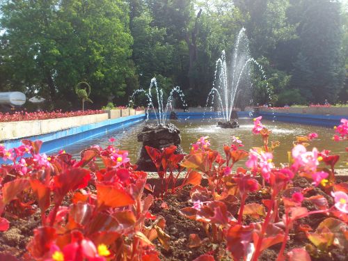 Foto sample Sony Ericsson Xperia Neo